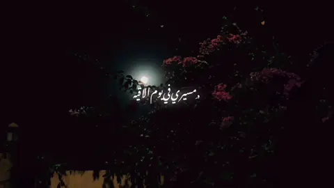 مسيري في يوم ألاقيه ❤️‍🩹#fyp #viral #viral_video #music 