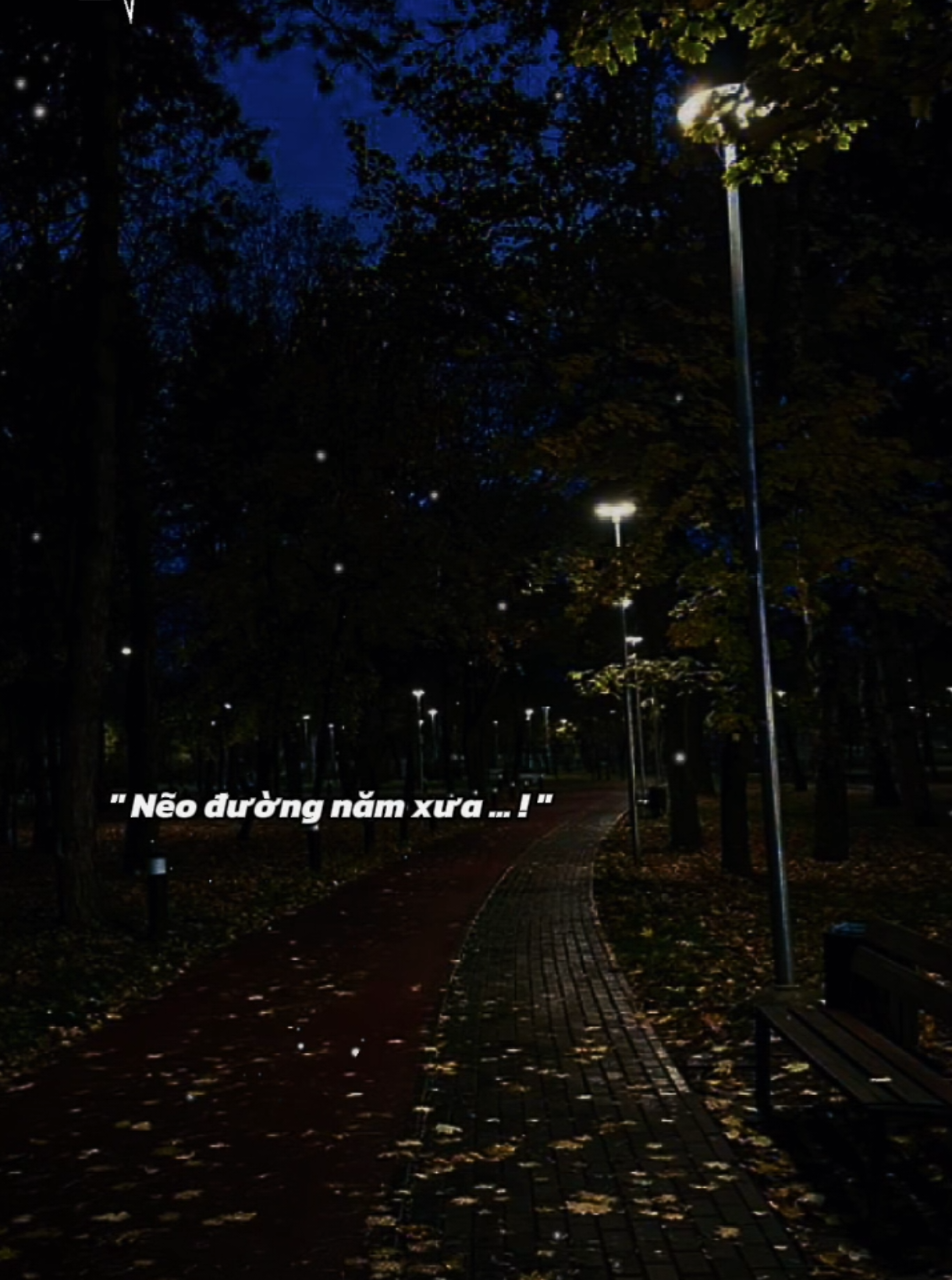 Nẽo đường năm xưa #nhachaymoingay #nhactamtrang #xuhuong2025 #foryou #fyp 