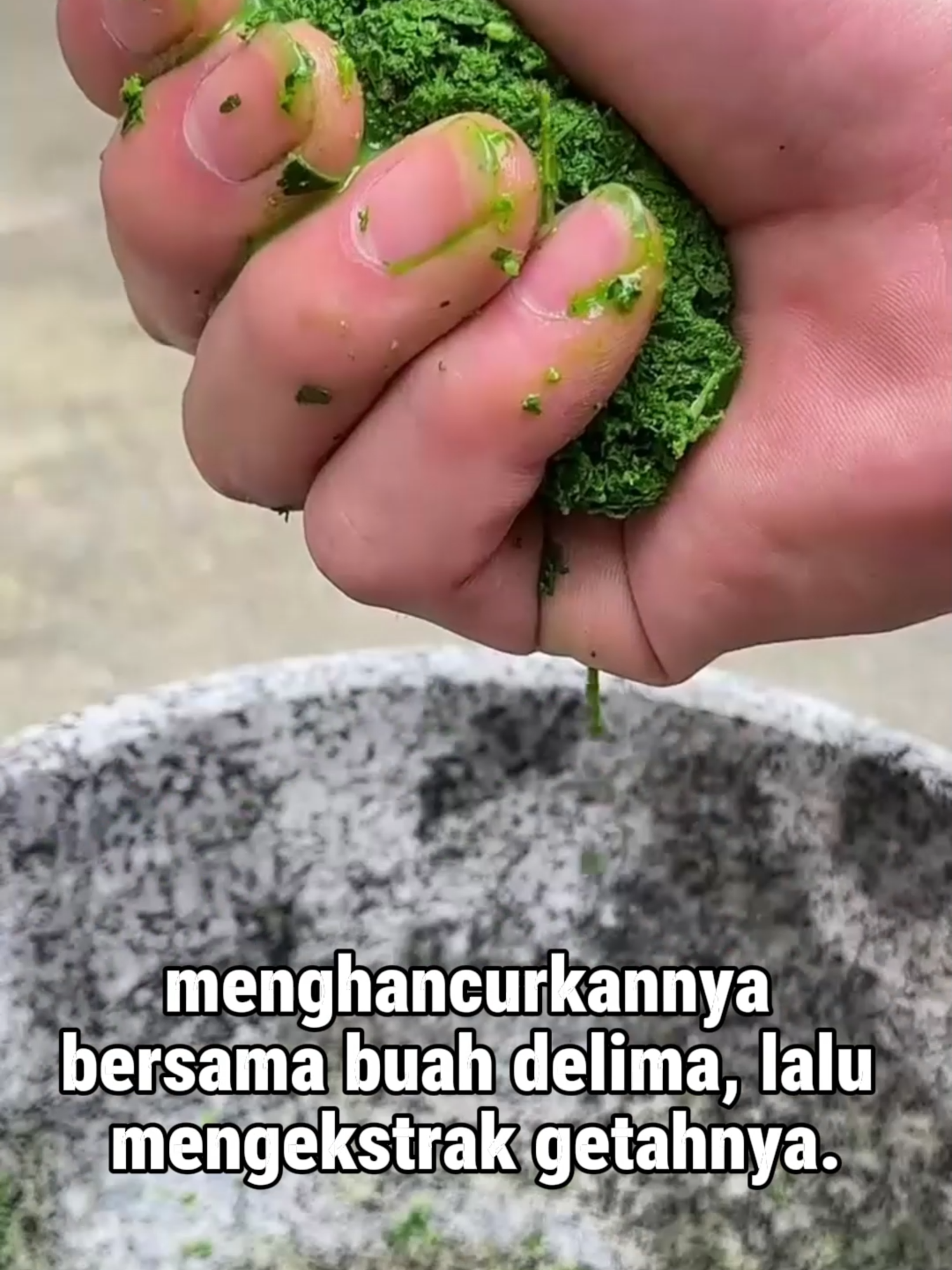 Rahasia Dokter Tradisional: Tanaman Ini Ampuh Atasi Gatal Berlebihan#TipsHidupSehat #HidupSehat #Antigatal