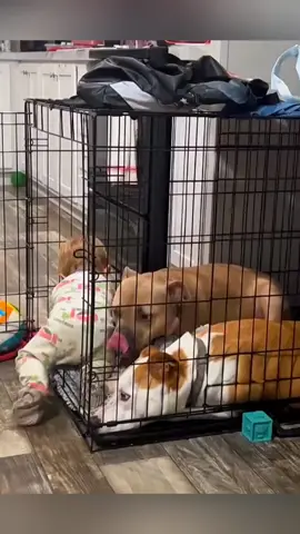 Funny stories about children and dogs 😘  #pet #cat #dog #cute #animlas #foryou #typ