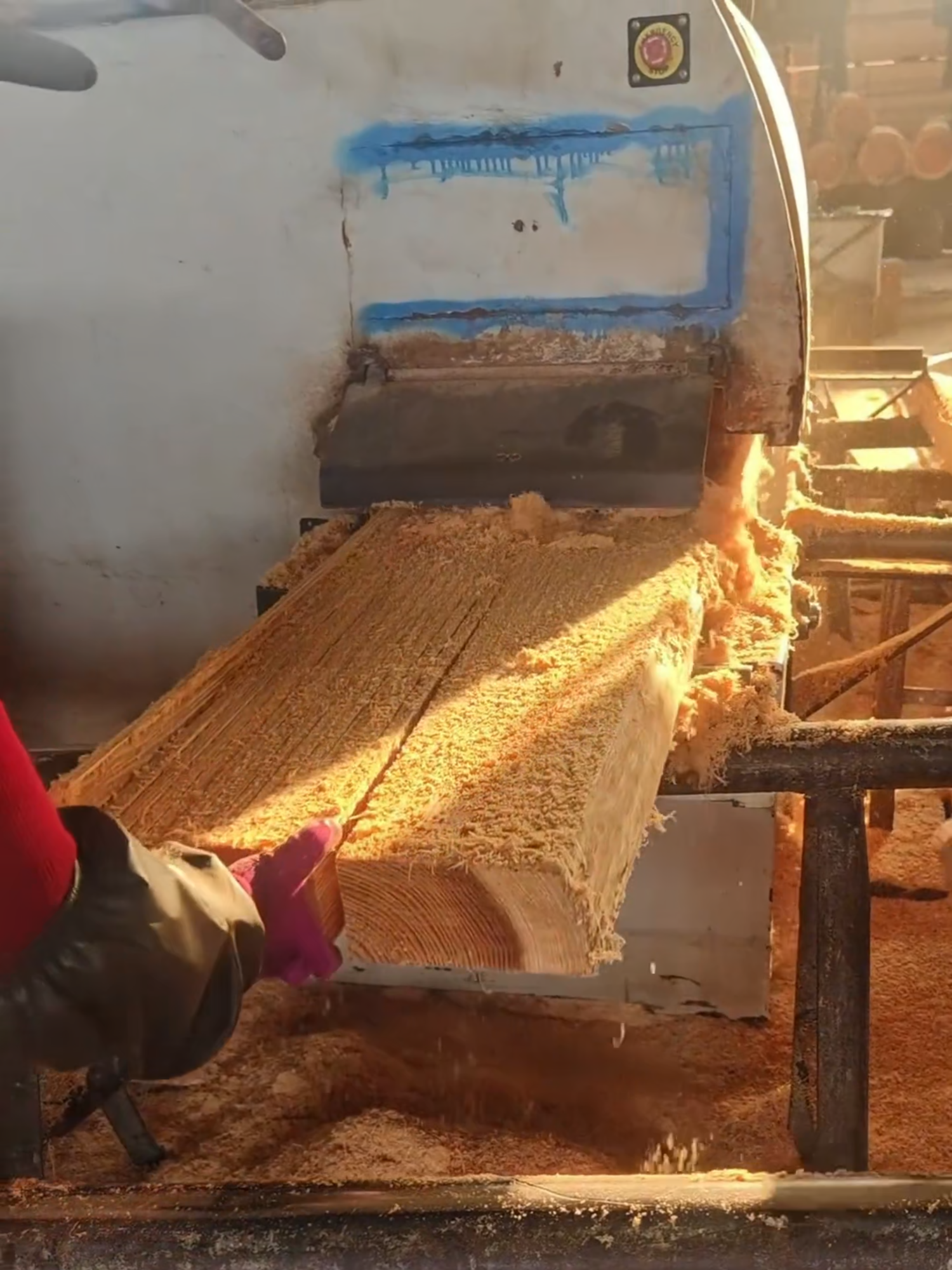 #fruit #fruits #asmr #fpy #fpyシ #fyp