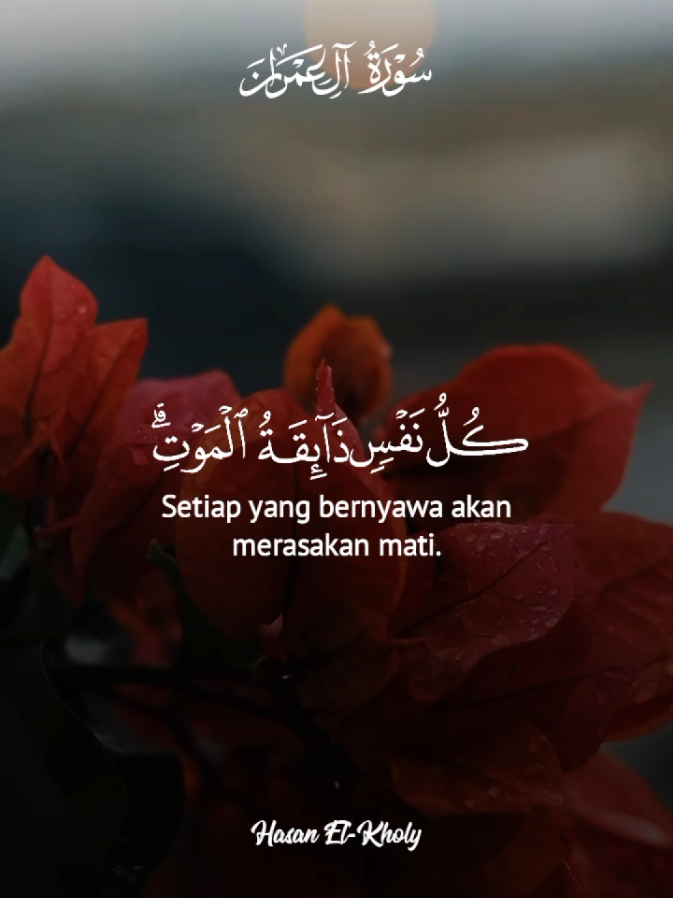 #CapCut Surah Ali-'Imran #theofficialmurottal 