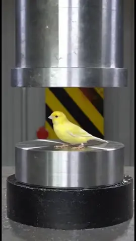 Mulana Akbar Ali Haqani Bayan #unfrezzmyaccount #islamic_video #islamic #viralvideo #muftiakbaralihaqani 