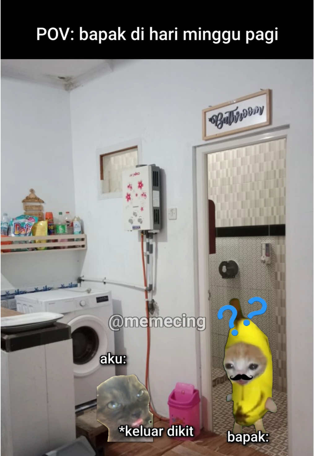 bapak siapa nih #meme #memekucing #kucinglucu #fyp #viral 