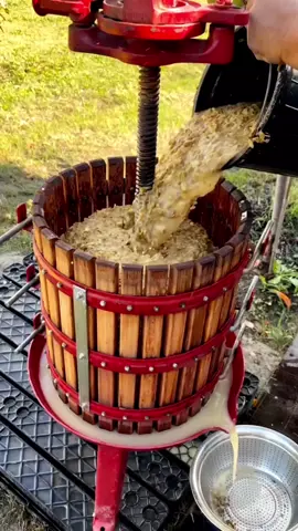 #fyp #LearnOnTikTok #viral #video #foryou #new #amazing #fact #facocean #factflare #viralvideo #foryoupage 