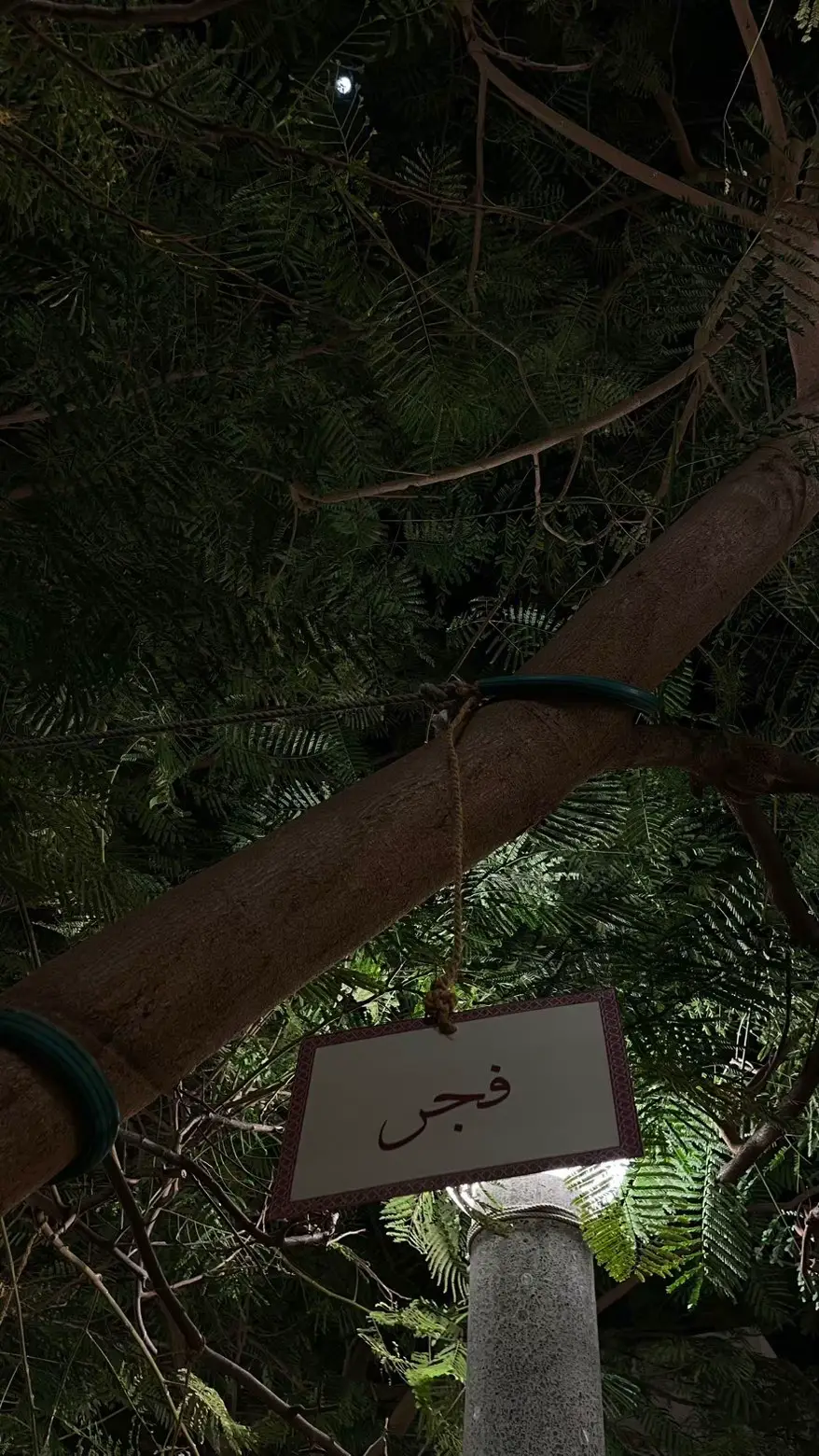 #اسامي_ليالي #ليالي_محرق #المحرق #bahrain🇧🇭 