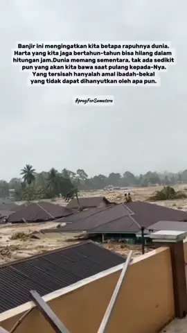 #belerickmlbb #lindungipohon #stoppenebanganhutan 