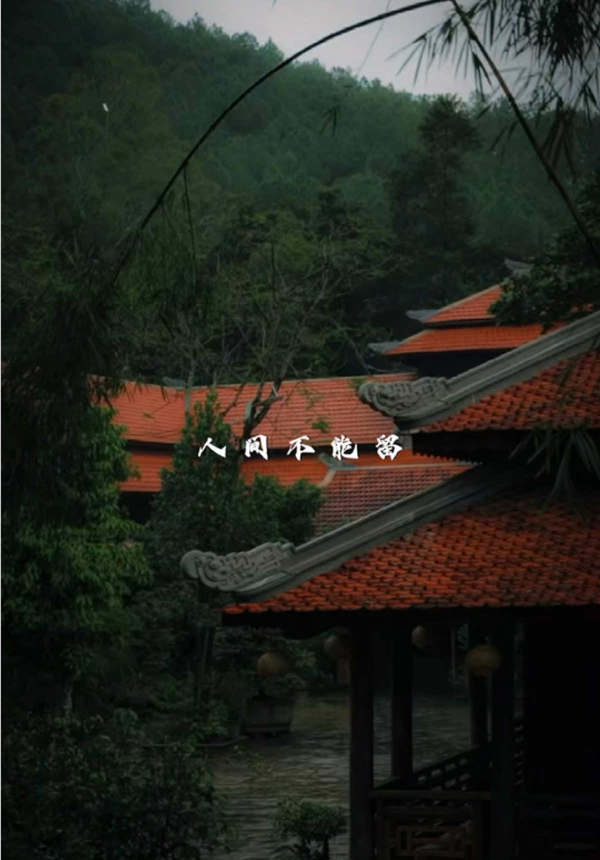 Từ Cửu Môn Hồi Ức Beat Remix Cuốn Quá Đi #CapCut #maucapcut #xuhuong #thinhhanh #bietchua 