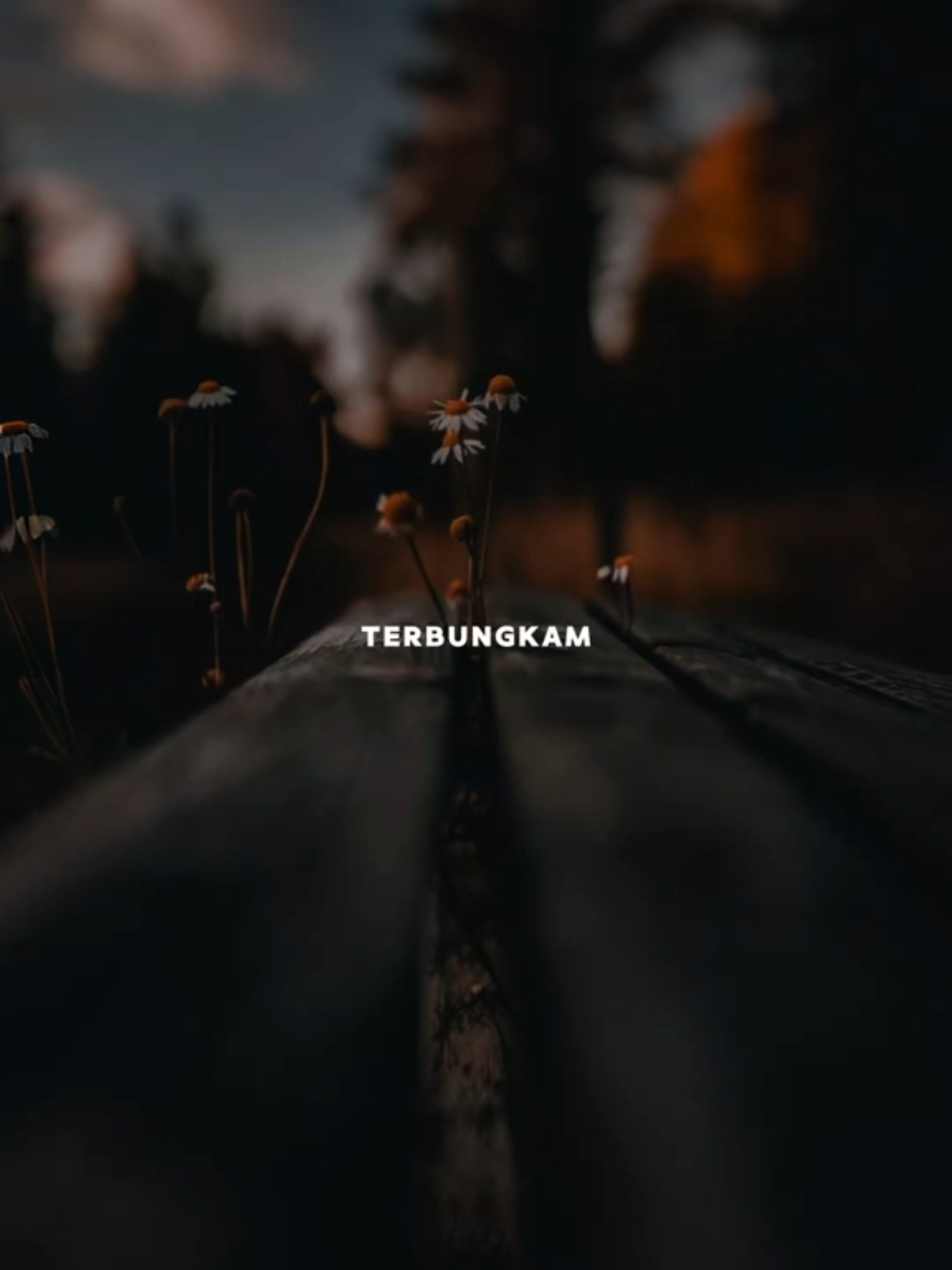 Kini maafkanlah aku bila ku menjadi bisu😔 #CapCut #bukandiriku #lewatberanda #cahgabuts #fypシ 