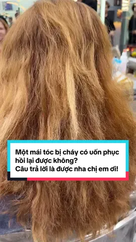 Một mái tóc bị cháy có uốn phục hồi lại được không? Câu trả lời là được nha chị em ơi!#k6tocdepbinhtan #cattocdepbinhtan #uontocdepbinhtan #noitocdepbinhtan #nhuomtocdepbinhtan 