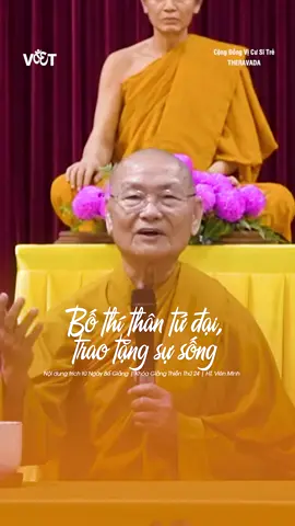 Bố thí thân tứ đại, trao tặng sự sống | Sư ông Viên Minh thuyết giảng ______ Nội dung được trích trong ngày bế giảng khóa giảng thiền 24 tại tổ đình Bửu Long #Theravada #phatgiaonguyenthuy #SuOngVienMinh #ViCuSiTre