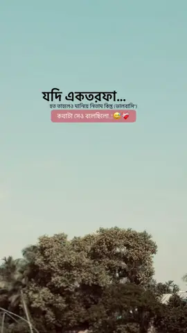 যদি একতরফা হত তাহলেও মানিয়ে নিতাম কিন্তু (ভালবাসি