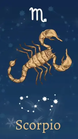 Das macht einen Skorpion aus und viele haben Angst vor ihm. 🦂🙈 #fyp #viral #skorpion #sternzeichen #loyalität 
