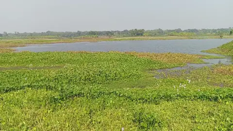 @- KHUSI - 💝  @AN IK  @SHOVOㅤ69x!  .....💔...............🥀 ...............🥹.....................❤️‍🩹