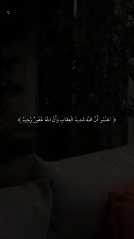 القارى ماهر المعيقلي 🖤✨#quran #fyp #قران #sb3zaid0 