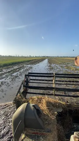 3x nhẹ nhàng rồi sớm 😁@Loc Pham Gia 