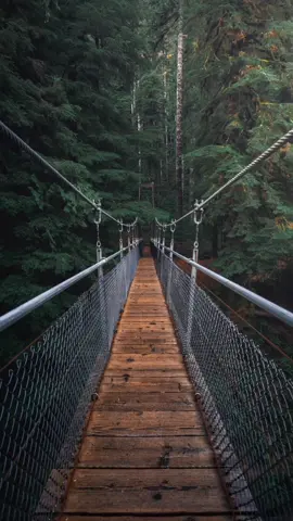 وأفوض أمري إلى الله 