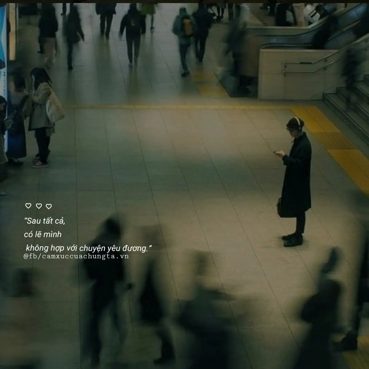 Nhưng họ lại làm tổn thương bạn và bỏ đi. Và bạn chỉ có thể ngồi đó, nhìn họ yêu thương người khác theo cách mà bạn từng mong họ sẽ đối xử thế với bạn... Trông em rất bình thường, nhưng trái tim em quá nhiều tổn thương.