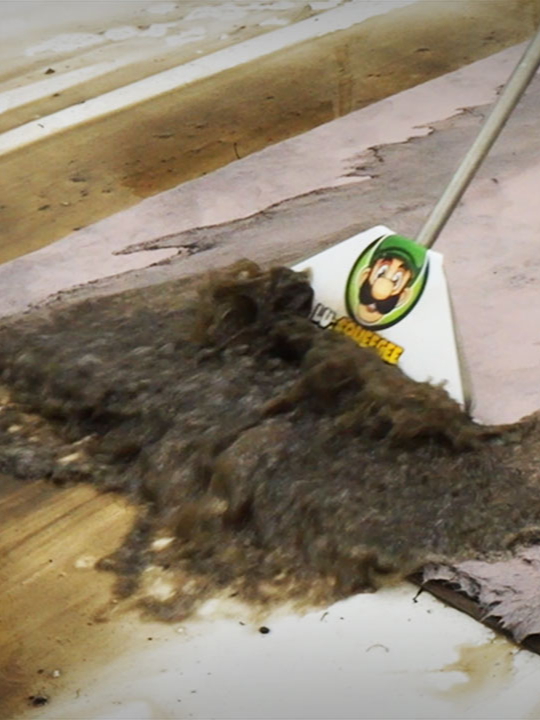 BRACE YOURSELF: This Pink Rug Transformation Is SHOCKINGLY Good. Satisfying ASMR Carpet Cleaning. #asmr #carpetcleaning #satisfying #oddlysatisfying #restoration