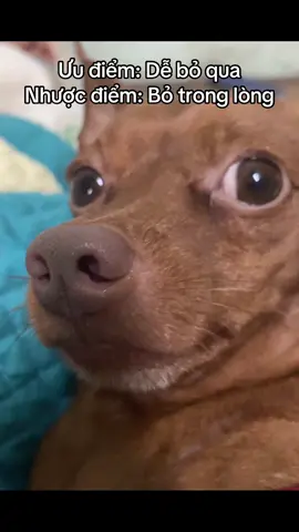 #xuhuong #fyp #trending 