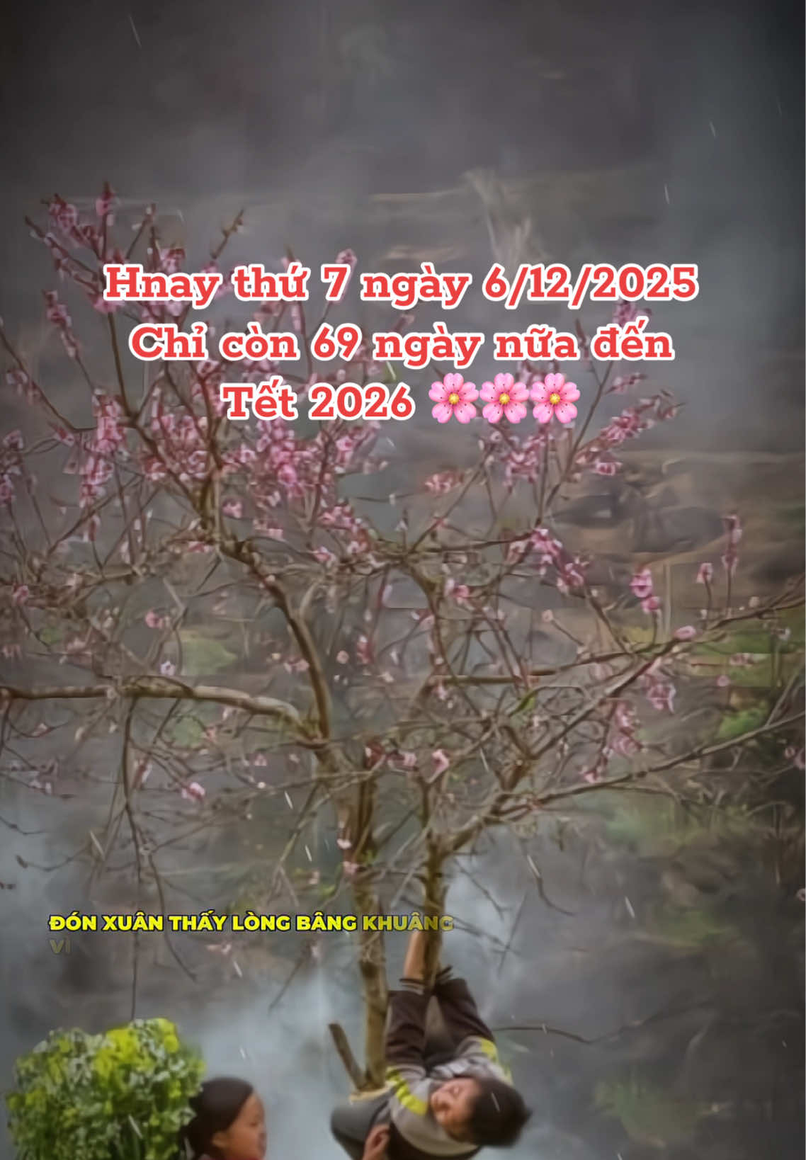 Tôi lại nhớ đến Tết trên vùng cao  #tetbinhngo2026 #tetbinhngo2026🧧🎆🧨 #demngaydentet #tet2026 #tet 
