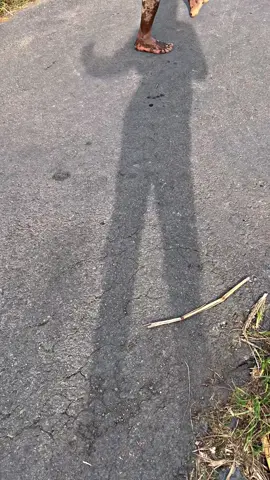 Salam dari Blitar 🤪 #traktorsawah  #kubota  #traktorthailand 