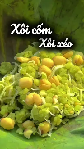 Xôi cốm, xôi xéo tại SG cụ thể là Tân Bình cho ai chưa biết ạ  #xh #saigon #hochiminhcity #myndichill #mynbabie 