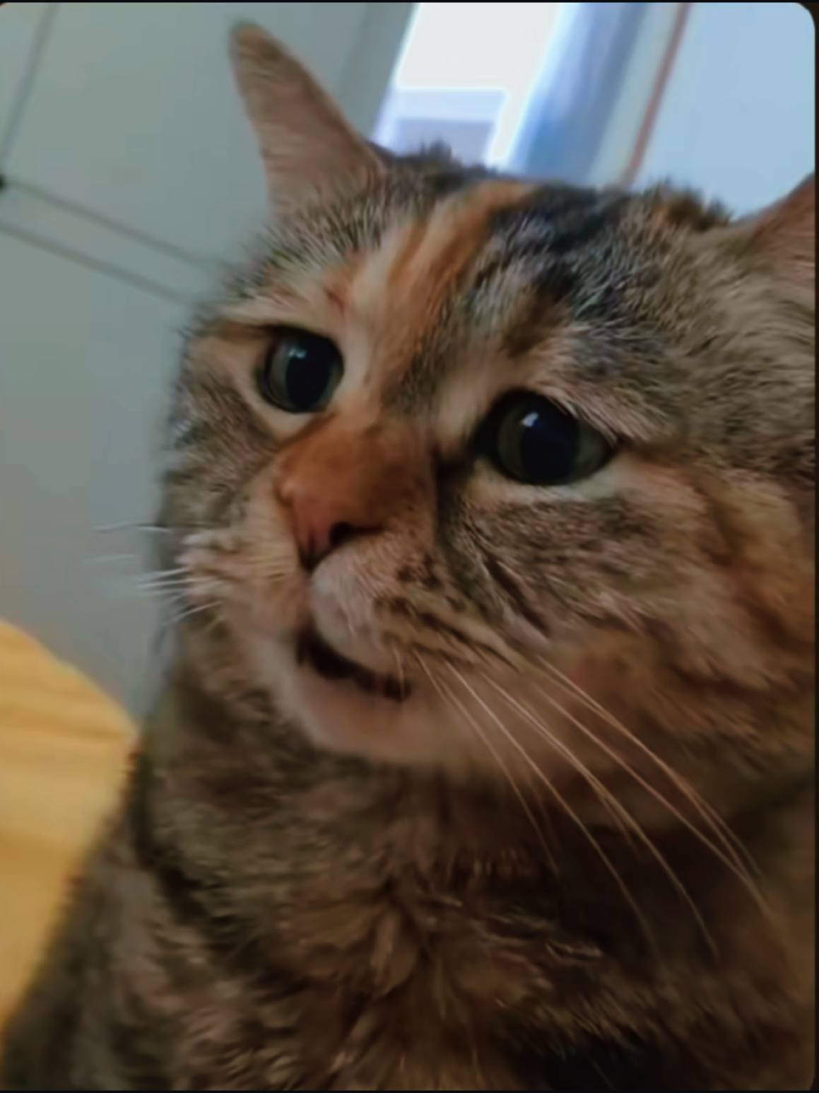 rindu dia tu 🙂 #aymy #myb 