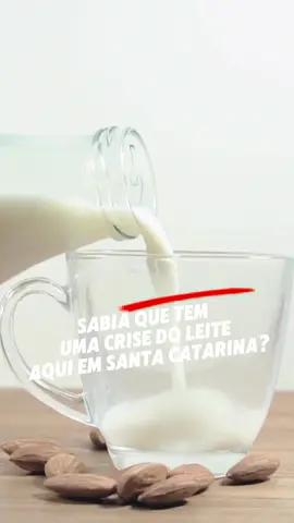 🥛 Você sabia que tem uma crise do leite em Santa Catarina? #Leite #Crise #ForYou #Fyp #Alesc