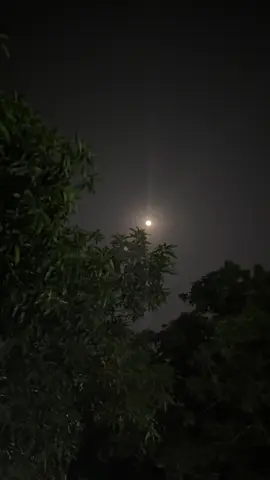 মানুষ সবসময় এক থাকে না,মানুষ শিখে,মানুষ শিক্ষা পায়,অতঃপর মানুষ বদলায়…!🕊️🖤    #fyp #foryou #moon_lover_29 #videography #moon 