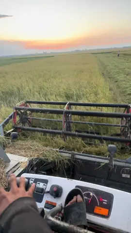 2h tới 5h 2x nhỏ đất núi đủ ăn ời 