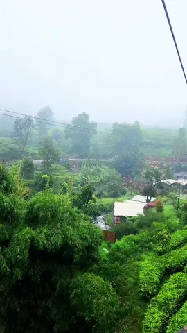 #سفر #اكسبلور #اندونيسيا#السعودية_الكويت_مصر_العراق_لبنان 