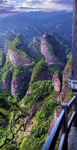 #قران_كريم #يوم_الجمعه #تلاوة_خاشعة 