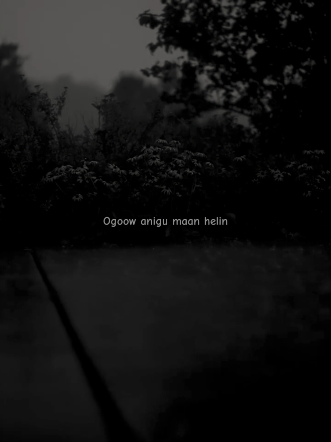 ogow anigu man helin hamigan lahaay iyo waxan hiig sanayee💔😢 #o乙il🫅🏿🍂 #o乙il #fypageシ 