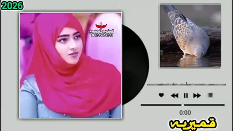 #تصاميم_فيديوهات🎵  الأغنية مخصصه لي ناس السمــ🎧ــاعات #🎧🎶 # #تكبيساتكم_ولاياتكم_اهم_اكسبلور 