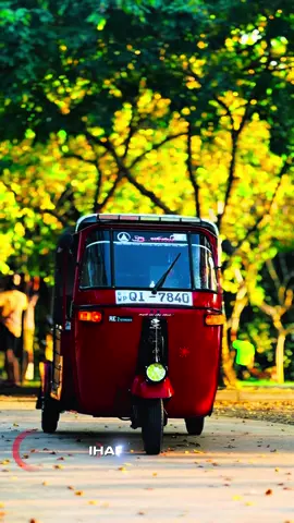 Top 🥵❤️   #companytype2stoke #viral #threeweellover❤ #companytype_picco🙈💕 #companytype 