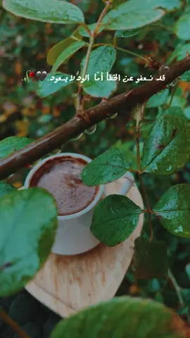 #بدون_موسيقى☕🖤 #اعادة_النشر🔃 #تصميمي #تصويري 