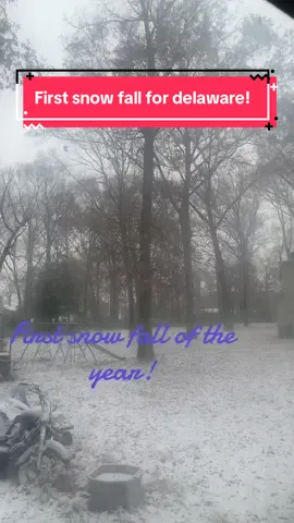 Let it snow let it snow let it snow! #fyfyp #fyp #delaware #smallcontentcreators #firstsnow 