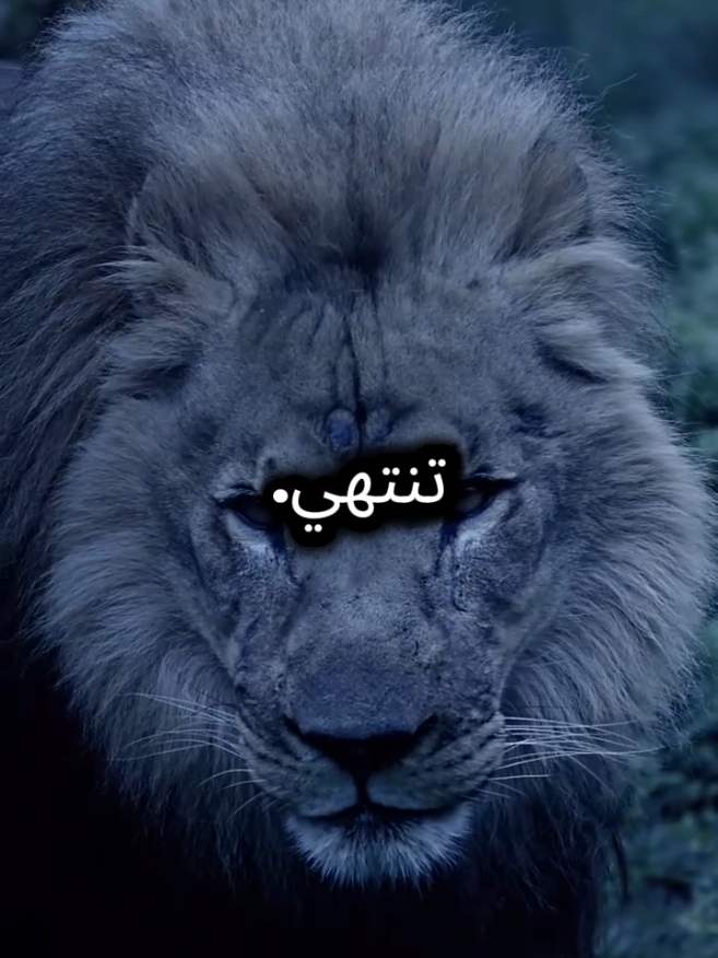 اذا كانت جافة معك فاعلم انها كانت تمطر في جهة أخرى بغزارة  #اقتباسات_عبارات_خواطر #اقتباسات #عبارات #عبارات_حزينه💔 