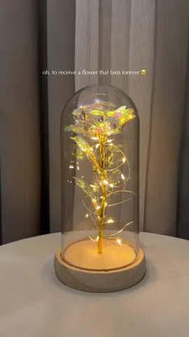 When words aren't enough, let this glow speak for you 🥀✨ #roselamp #perfectgiftideas #giftideas #perfectgiftforher #tiktokfinds 