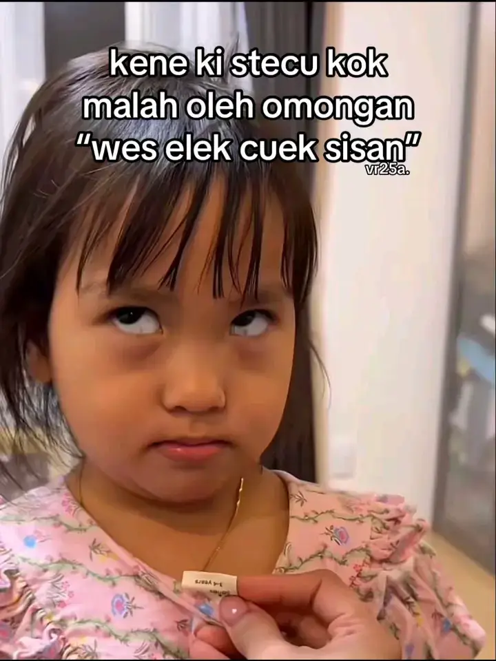 stecuutaiki#stecu #creatorsearchinsight #lewatberanda #fyp #fyp 