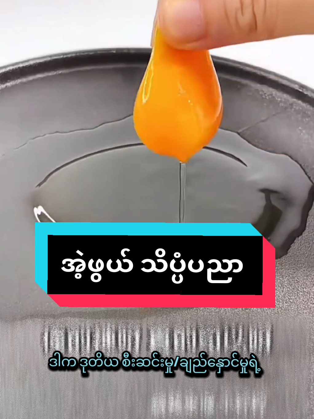 #အဲ့ဖွယ်သိပ္ပပညာ #ဗဟုသုတမှတ်တမ်း #စိတ်ဝင်စားစရာသိပ္ပံ #searchinsightcreators #contentcreation 