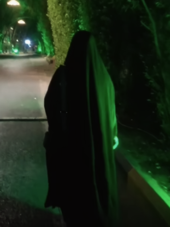 #creatorsearchinsights #fyp #كربلائية👑 #tiktok #CapCut 