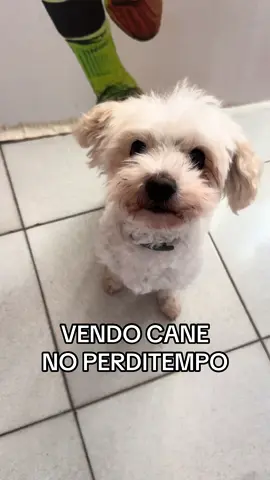 Tutto ma questo no!!!!🥲