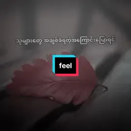 ဘဝတူတွေရှိလား #feeledit #tiktokmyanmar #foryou #fyp #fyp 