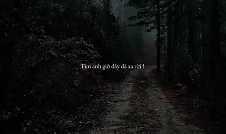 Trăm lần hứa sẽ yêu ! #fbtxuhuong #trucanh2004 #tamtrang #lyrisc #BKGroup 