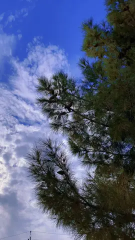 🤍☀️                                                         #arifchopan #yad #masif #soran #erbil 