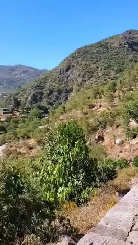 فؤادي يفيض جمالا حين يذكرها وكأنّ الجمالَ قد حلّ فيه