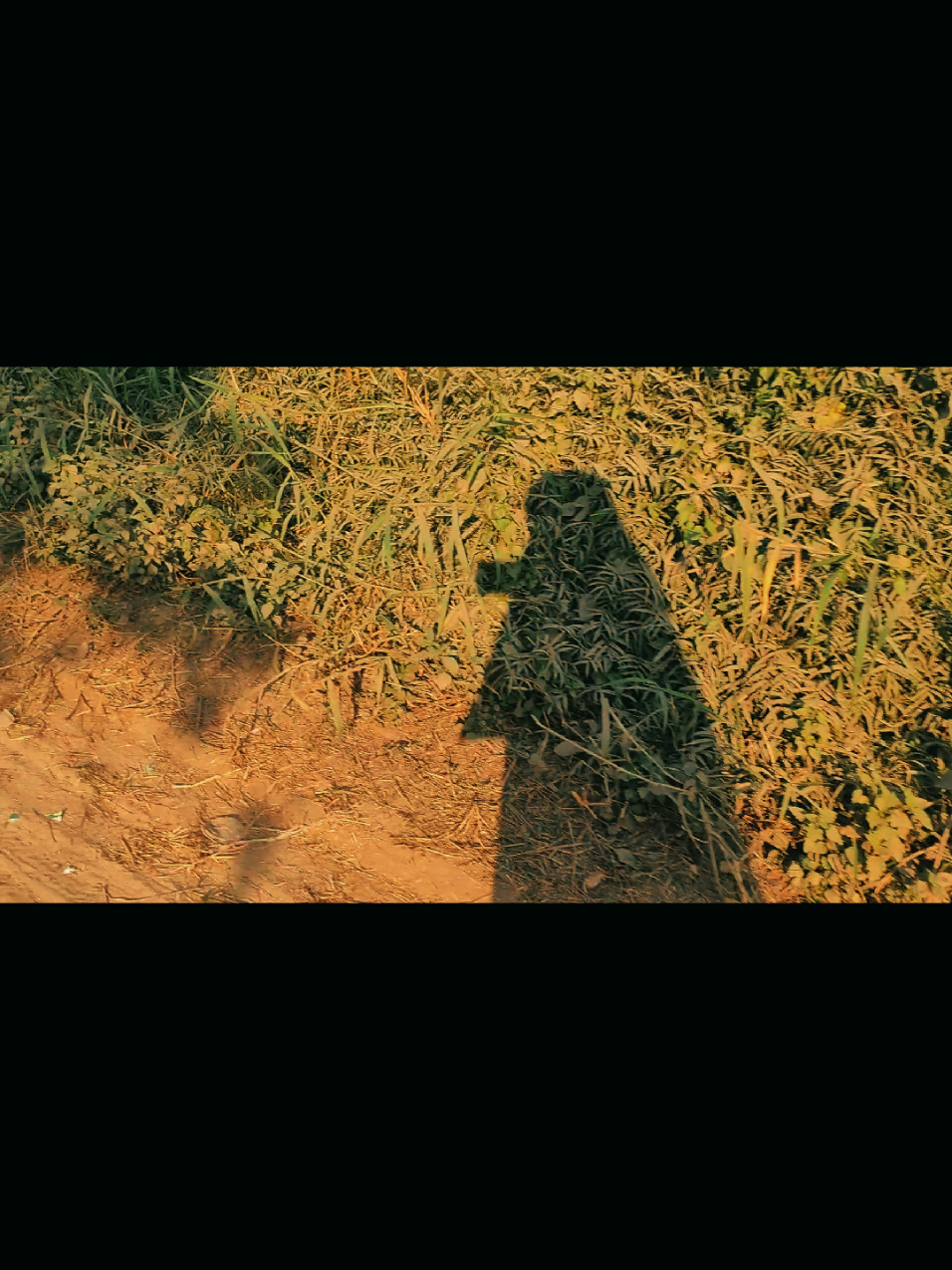 আল্লাহ ❤️#trending #tiktok #foryou #fyp #explore 