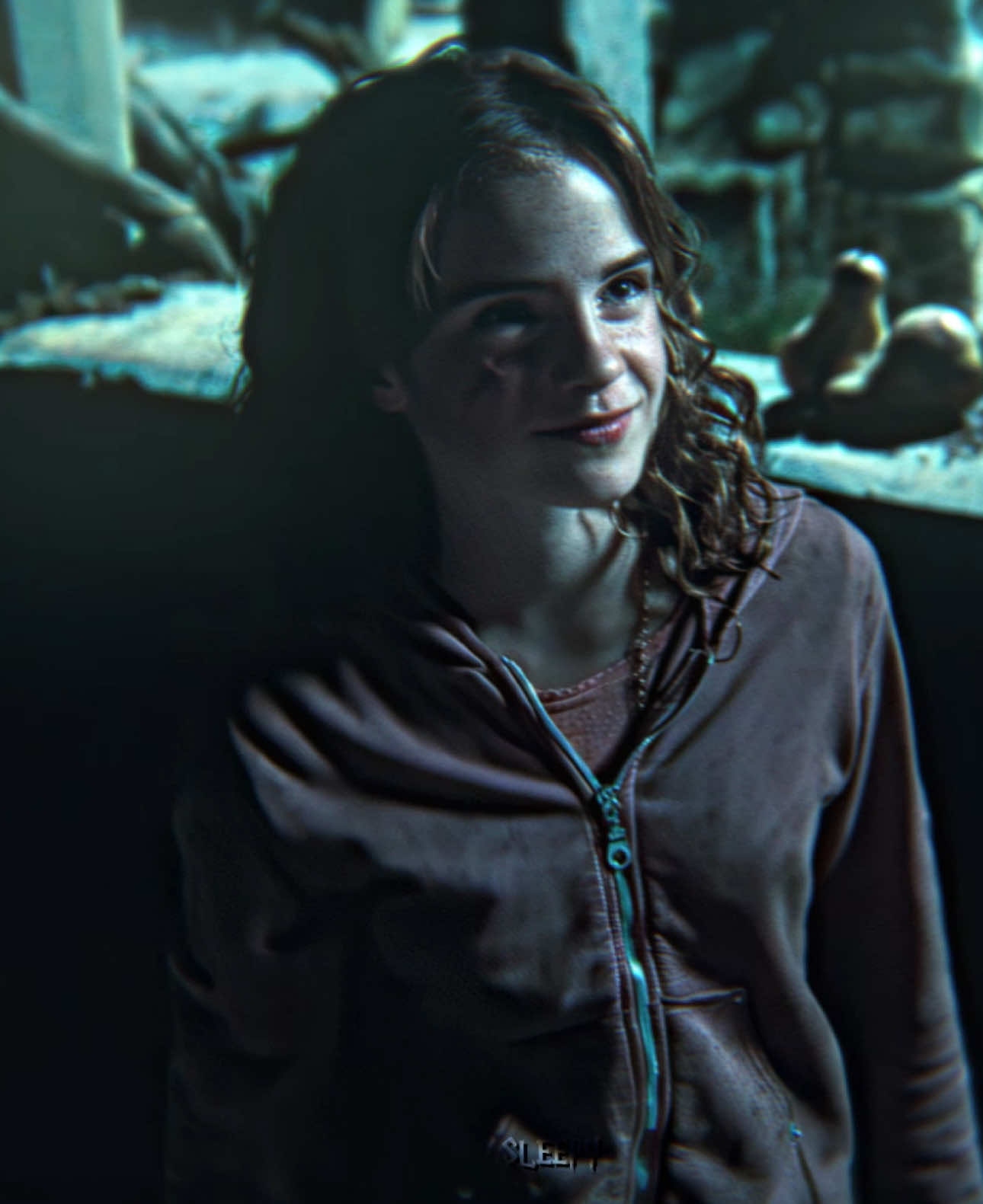 Hermione velocity trend 😍🔥 || #hermionegranger #emmawatson #edit #harrypotter #fyp 